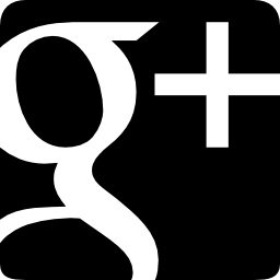 Googleはプラス無料のロゴのアイコン