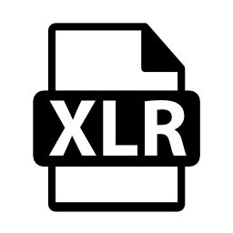 XLRファイル形式は、バリアント無料アイコン