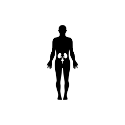 人間の腰の骨の内側立っている男性の体は黒いシルエット無料アイコン