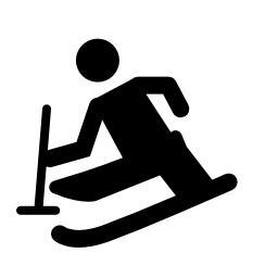 パラリンピックスキー無料アイコン