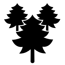 松の木の森無料アイコン