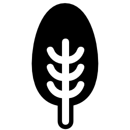 無料アイコンの楕円形の葉を持つ木左右対称の形状