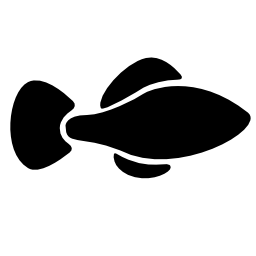魚黒い図形無料アイコン